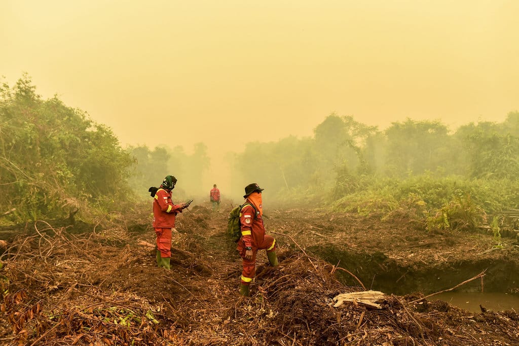 Petugas Manggala Agni Daops Sumatera XII Muara Tebo bersama Pendamping Tahura OKH Dinas Kehutanan Provinsi Jambi melakukan pengecekan titik api di Taman Hutan Raya (Tahura) Orang Kayo Hitam (OKH), Desa Gedong Karya, Muaro Jambi, Jambi, Jumat (16/10/2026). Pengecekan tersebut bertujuan memetakan rencana pemadaman setelah menerima laporan temuan titik api baru di kawasan yang masih memiliki vegetasi rapat dan terhubung dengan Taman Nasional Berbak Sembilang (TNBS) tersebut. ANTARA FOTO/Wahdi Septiawan/agr Karhutla di Tahura Orang Kayo Hitam Jambi