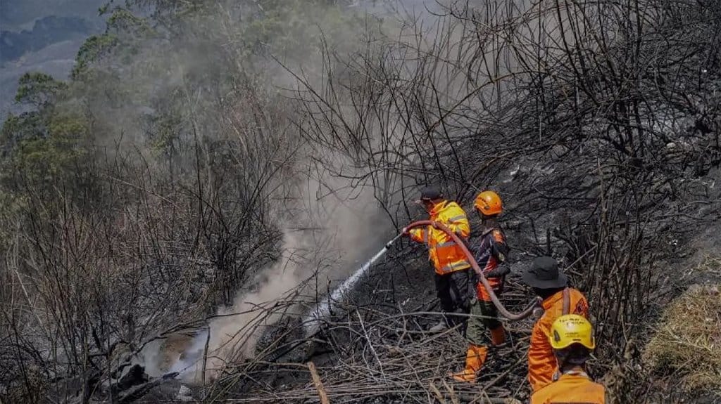 Petugas padamkan api di karhutla Gunung Bromo pada September 2026. ANTARA/Ananto Pradana Karhutla Gunung Bromo