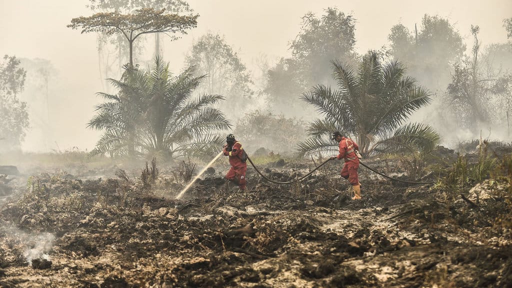 Petugas Manggala Agni Daops Sumatera XII Muara Tebo memadamkan api yang membakar lahan penyangga Taman Hutan Raya (Tahura) Orang Kayo Hitam (OKH), Desa Gedong Karya, Muaro Jambi, Jambi, Senin (19/10/2026). Sebanyak 92 personel Manggala Agni Kemenhut dari Provinsi Jambi, Pekanbaru dan Dumai, serta beberapa petugas tim satgas karhutla Jambi melakukan pemadaman di tujuh titik api di dalam kawasan dan sekitar Tahura OKH dan Taman Nasional Berbak Sembilang (TNBS) yang meliputi sejumlah desa di Kabupaten Muaro Jambi dan Tanjung Jabung Timur. ANTARA FOTO/Wahdi Septiawan/nym. Pemadaman karhutla Tahura OKH dan TN Berbak Sembilang