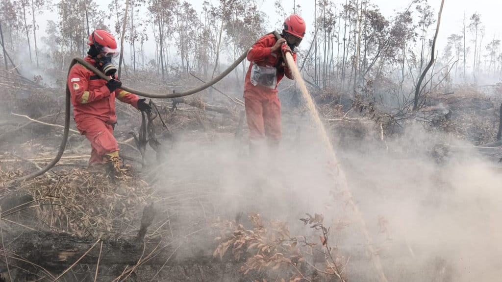 Tim melakukan pemadaman karhutla di Desa Karang Agung, Musi Banyuasin, Sumsel, Sabtu (24/10/2026). FOTO/Manggala Agni Karhutla bBnyuasin