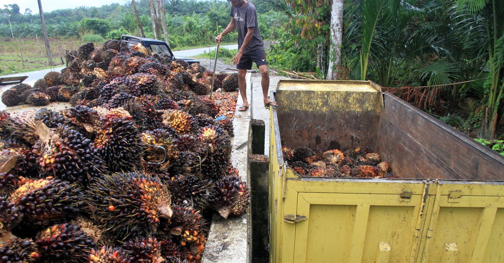 Selain Batu Bara Cabut Limbah Sawit Dari Lis Limbah Beracun Riset