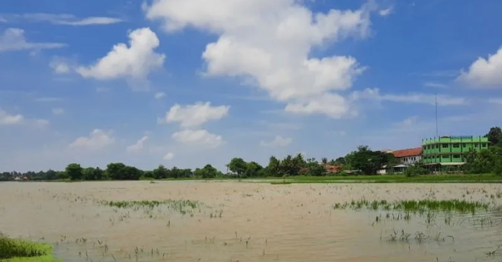 24 Hektare Lahan Sawah Di Kabupaten Tangerang Terendam Banjir