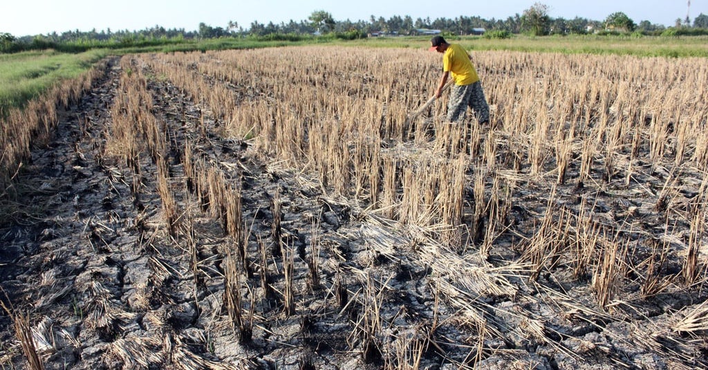 Bmkg Persen Wilayah Indonesia Kemarau Terdampak El Nino