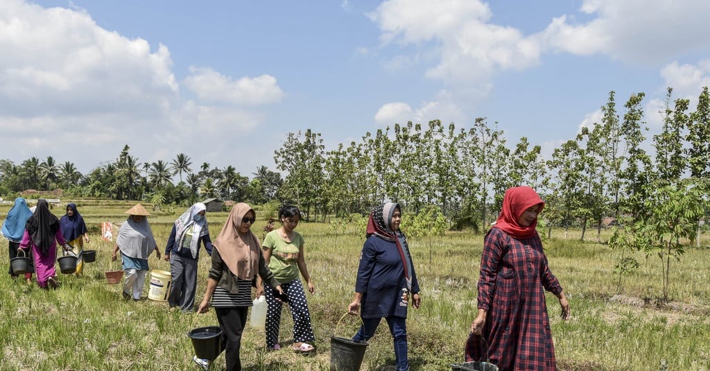 Dampak Kekeringan Yang Terjadi Di Provinsi Jabar Jateng Jatim