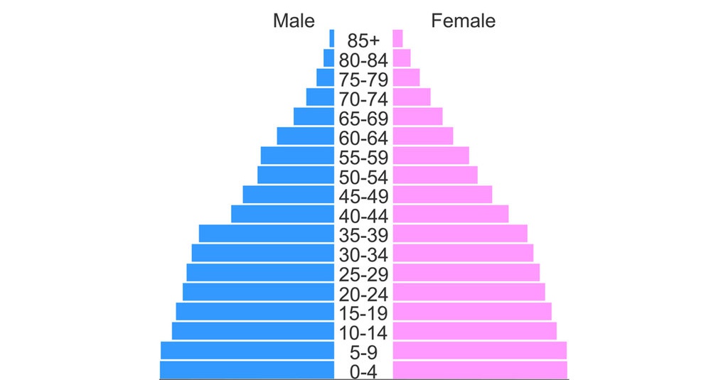Apa Saja Jenis Piramida Penduduk Dan Contohnya