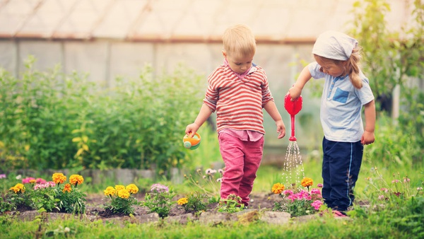 Ketahui Cara Membuat Taman Kecil Di Depan Rumah