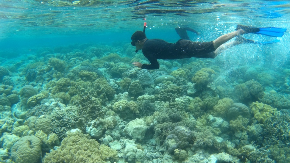 Mari Mabuk Selam Pulau Tomia