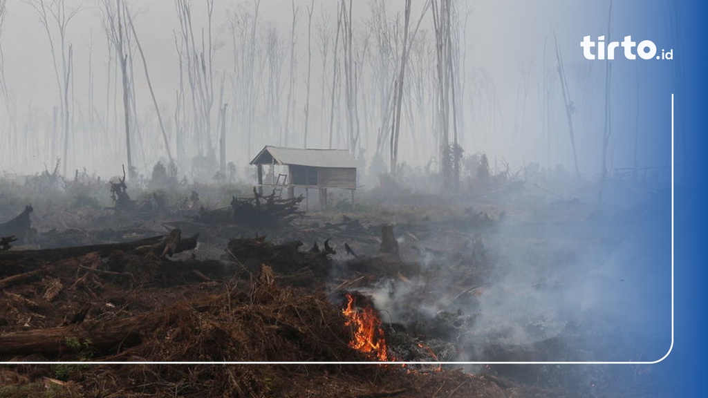 Empat Provinsi Berlakukan Status Siaga Darurat Karhutla