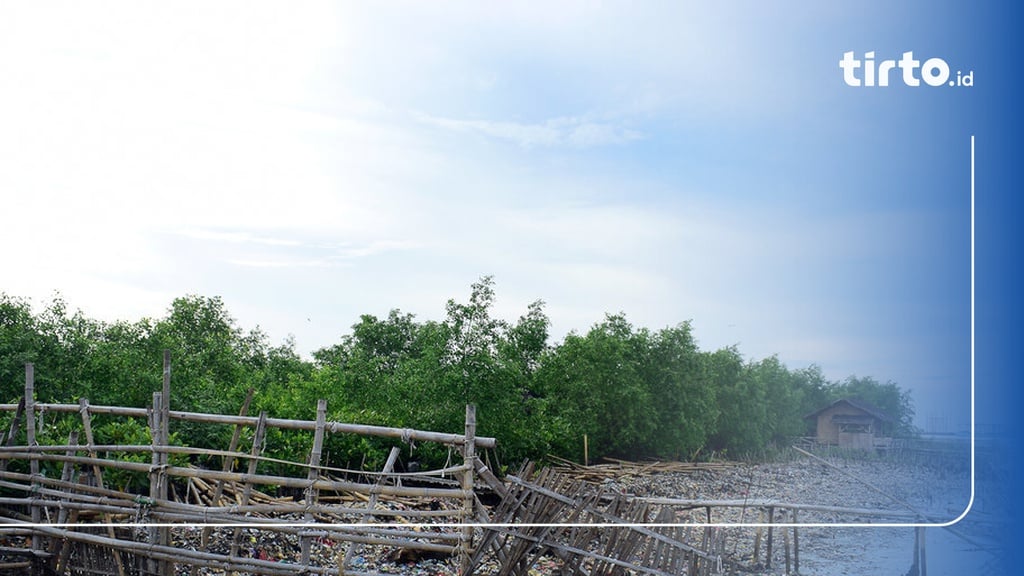 Brin Ajak Lokalisasi Sampah Menuju Hutan Mangrove Muara Angke