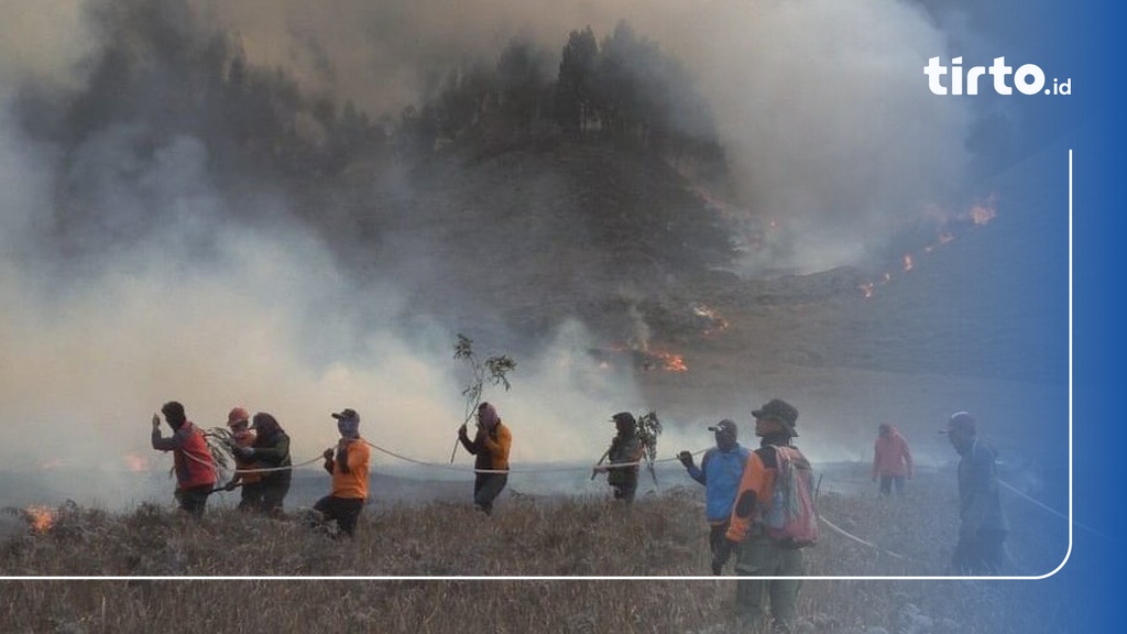 Kebakaran Di Padang Savana Gunung Bromo Berhasil Dipadamkan Petugas