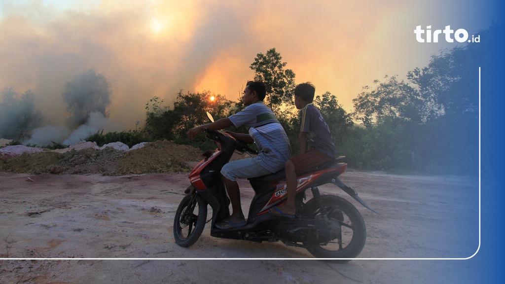 Kebakaran Hutan Lahan Di Riau Meluas Hingga 1 136 Hektare