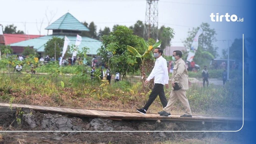 Jokowi Restui Prabowo Komandoi Proyek Food Estate Kalimantan Tengah