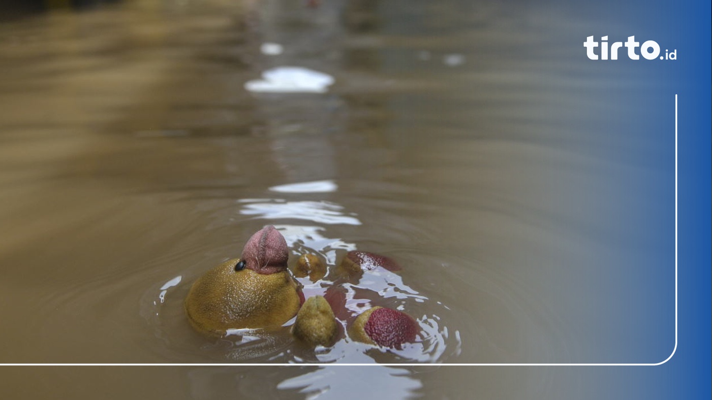 Berita Banjir Terkini Di Kampung Melayu Akibat Ciliwung Meluap