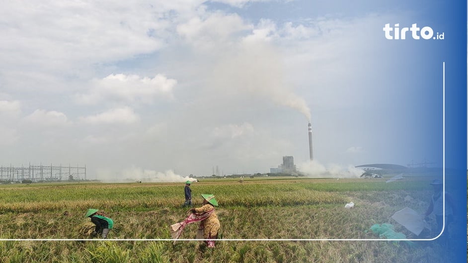 Prinsip Cara Kerja Pltu Batu Bara Dan Komponen Penyusunnya