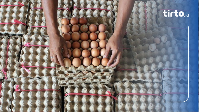 Menguji Saling Klaim Dpr Vs Kemendag Bapanas Soal Impor Telur