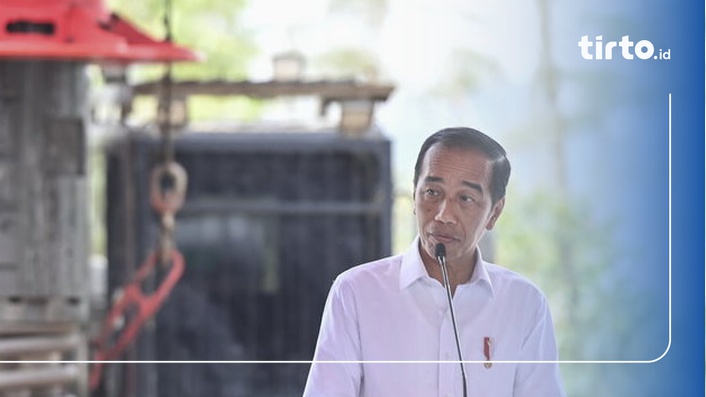 Presiden Jokowi Pamer Nilai Investasi Ikn Sentuh Rp Triliun