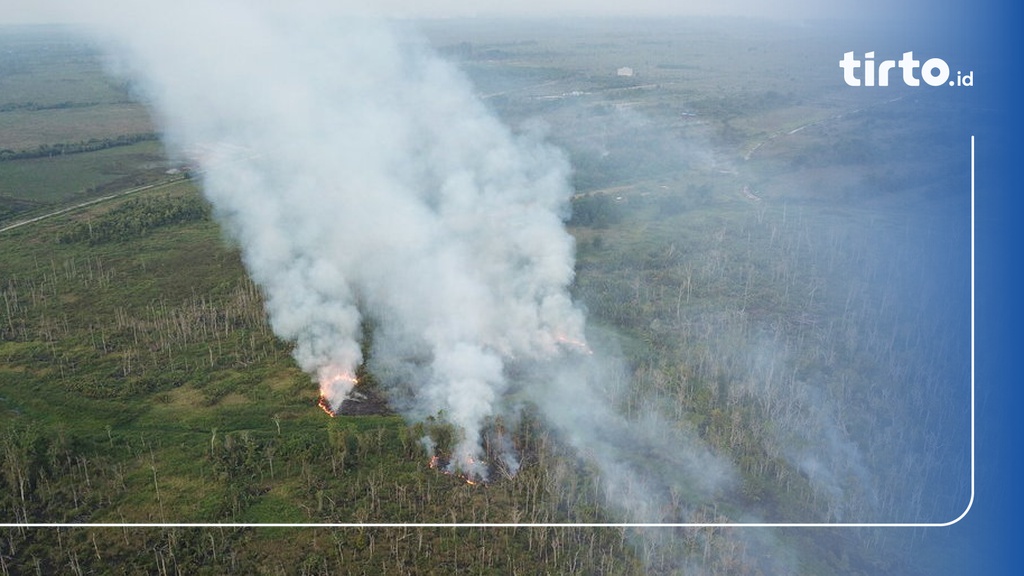 Ma Tolak Kasasi Jokowi Terkait Kasus Karhutla Di Kalimantan