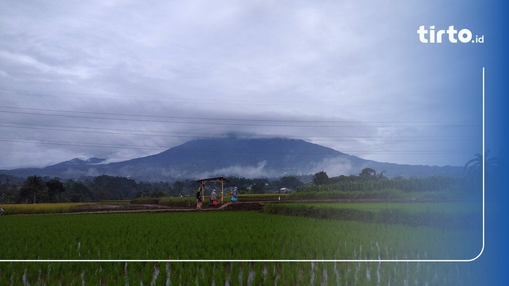 13 Pendaki Tersesat Di Gunung Pangrango Berhasil Ditemukan