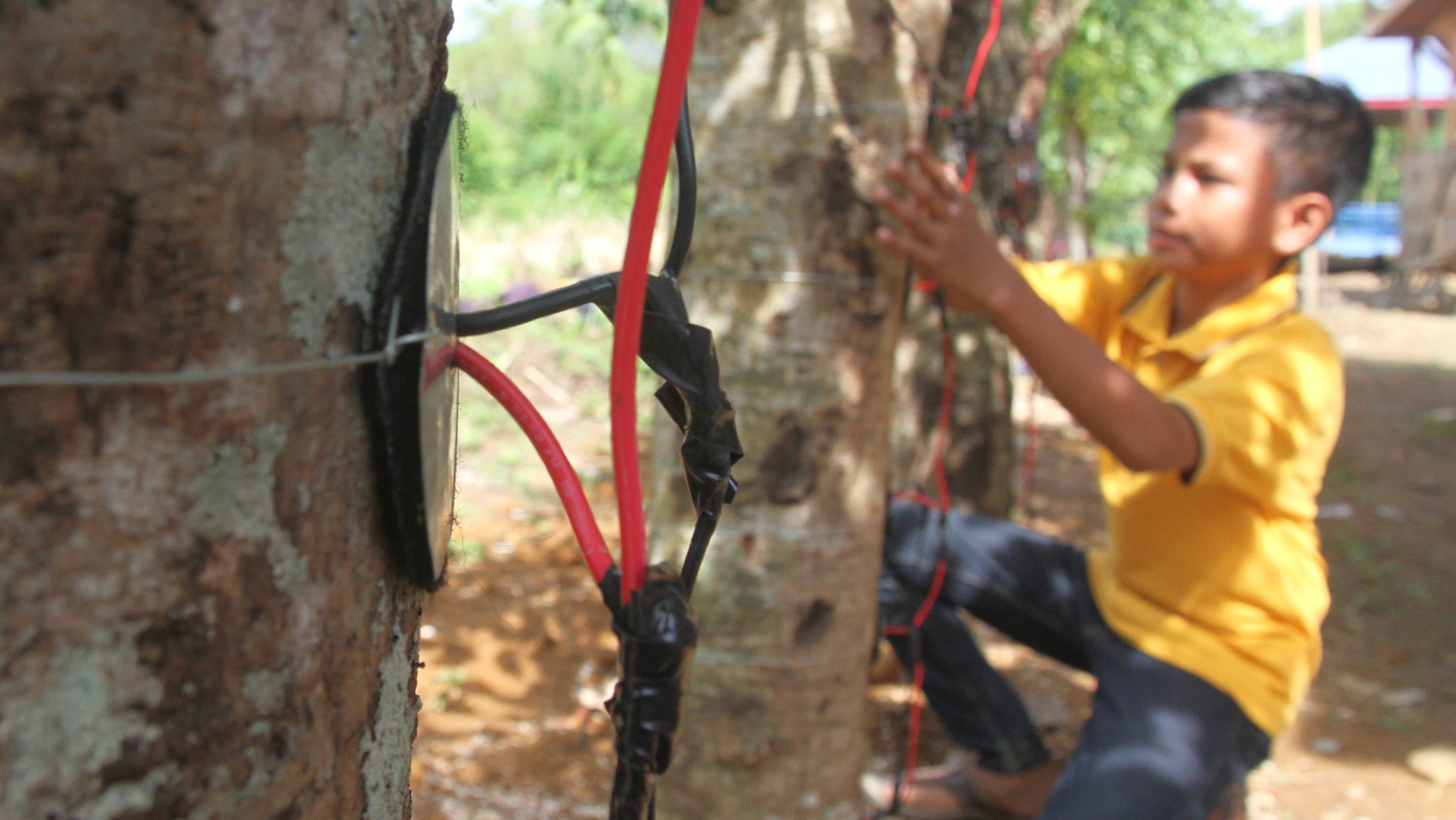 Energi Listrik Nabati Karya Pelajar MTsN - Tirto.ID