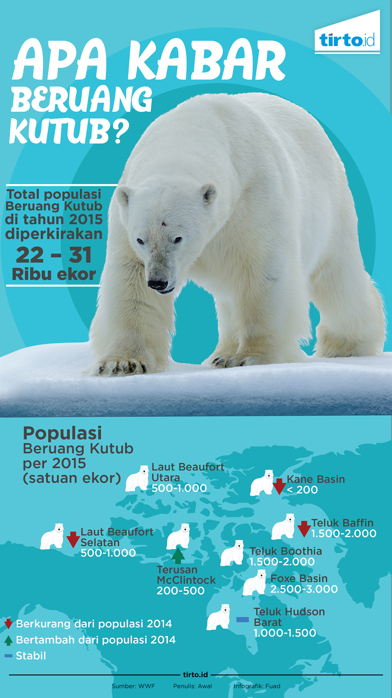 Infografik Apa Kabar Beruang Kutub
