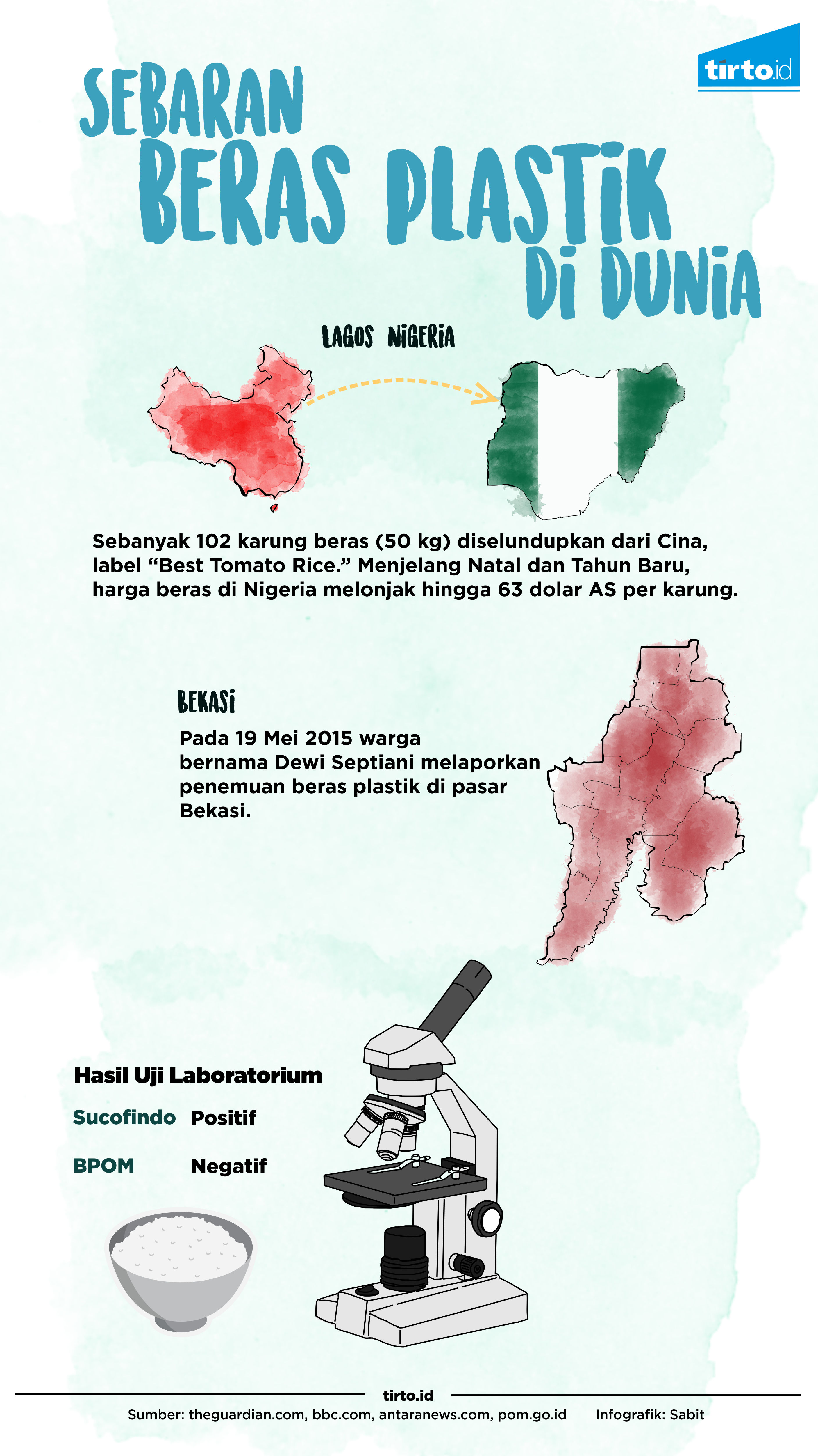 Infografik Beras Plastik di Dunia