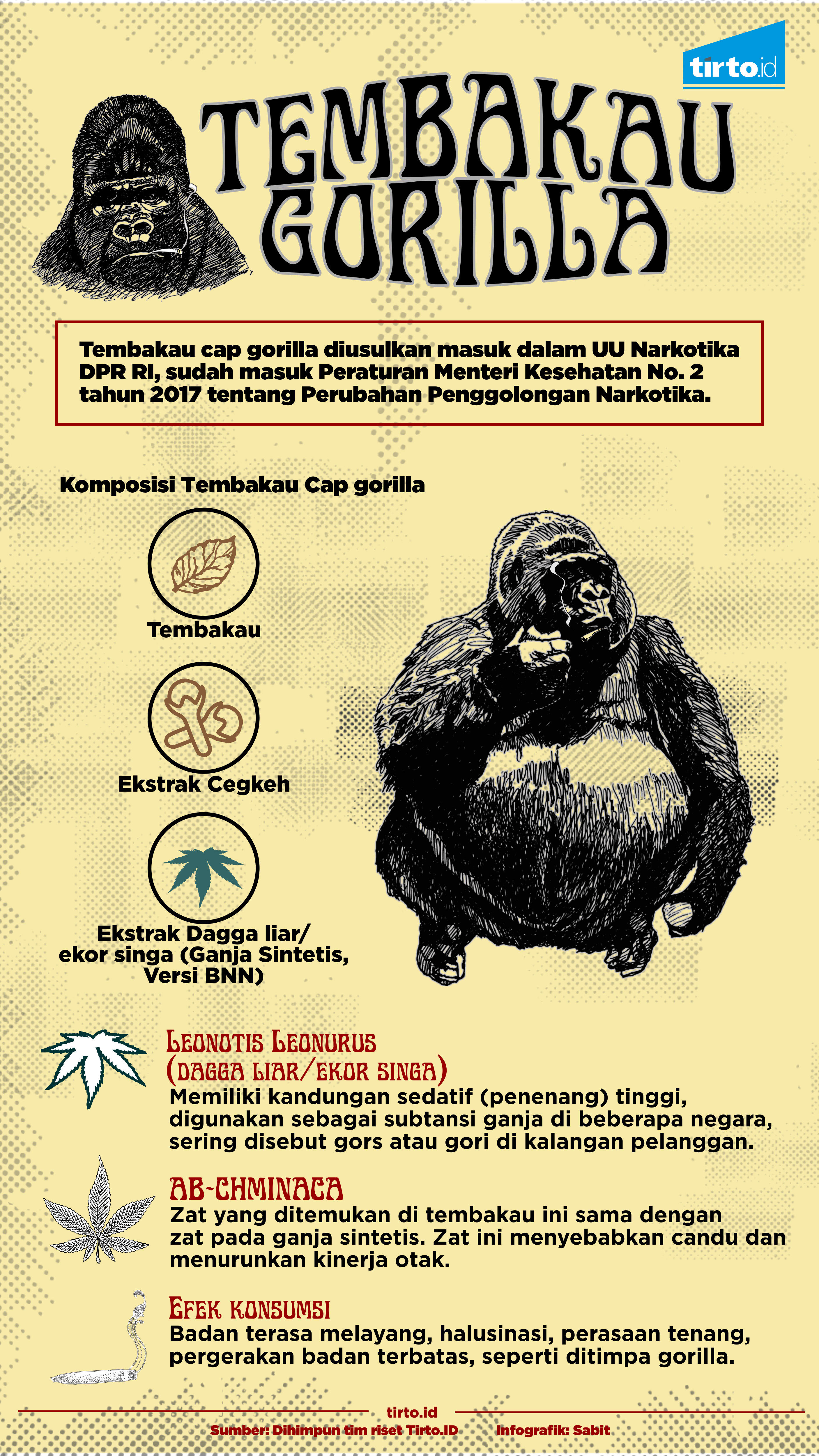 INFOGRAFIK Tembakau Gorila Revisi