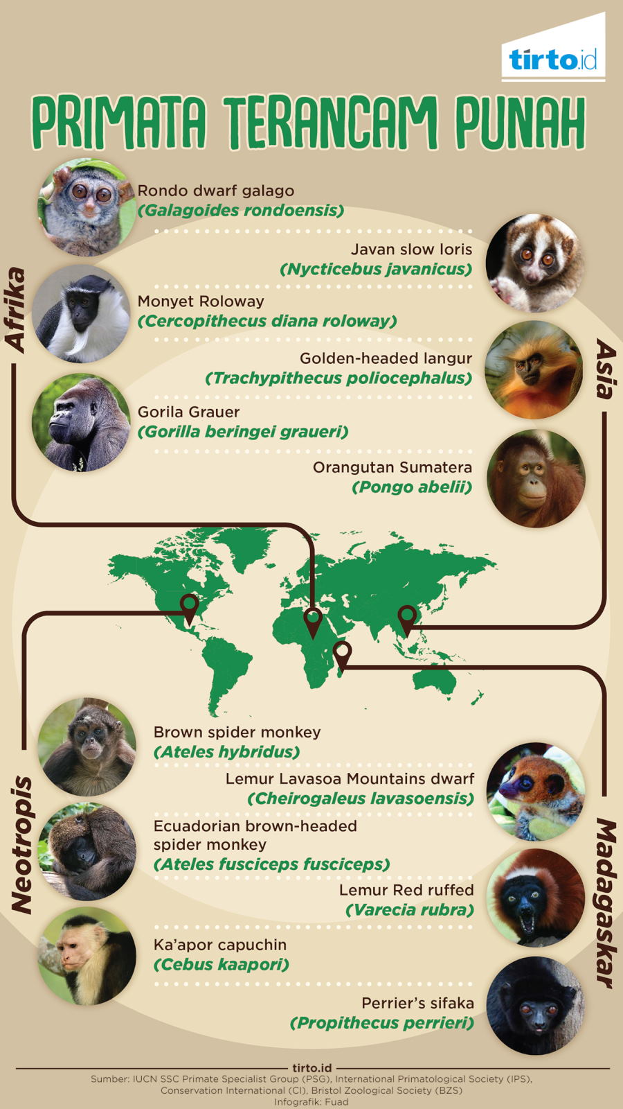Infografik Primata Terancam Punah
