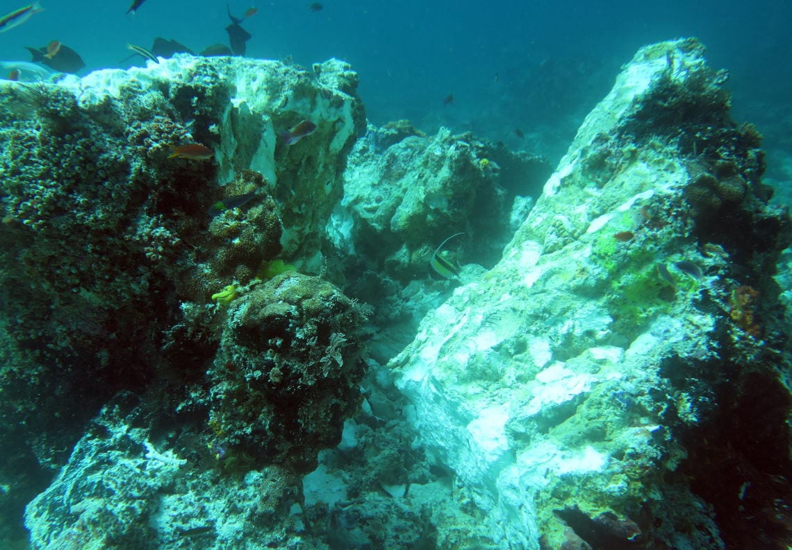 Kerusakan terumbu karang di Raja Ampat.
