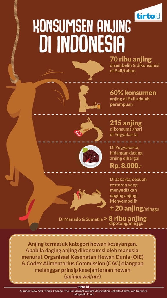 Infografik Konsumsi Anjing
