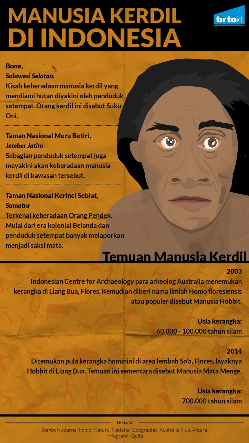 Infografik Manusia Kerdil di Indonesia