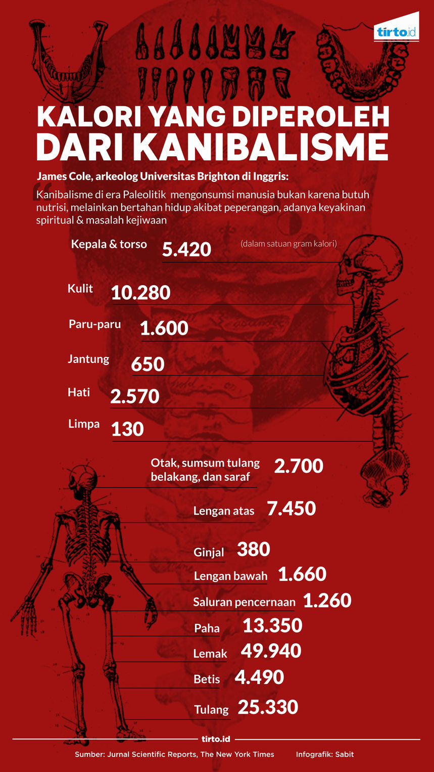 infografik kalori kanibal