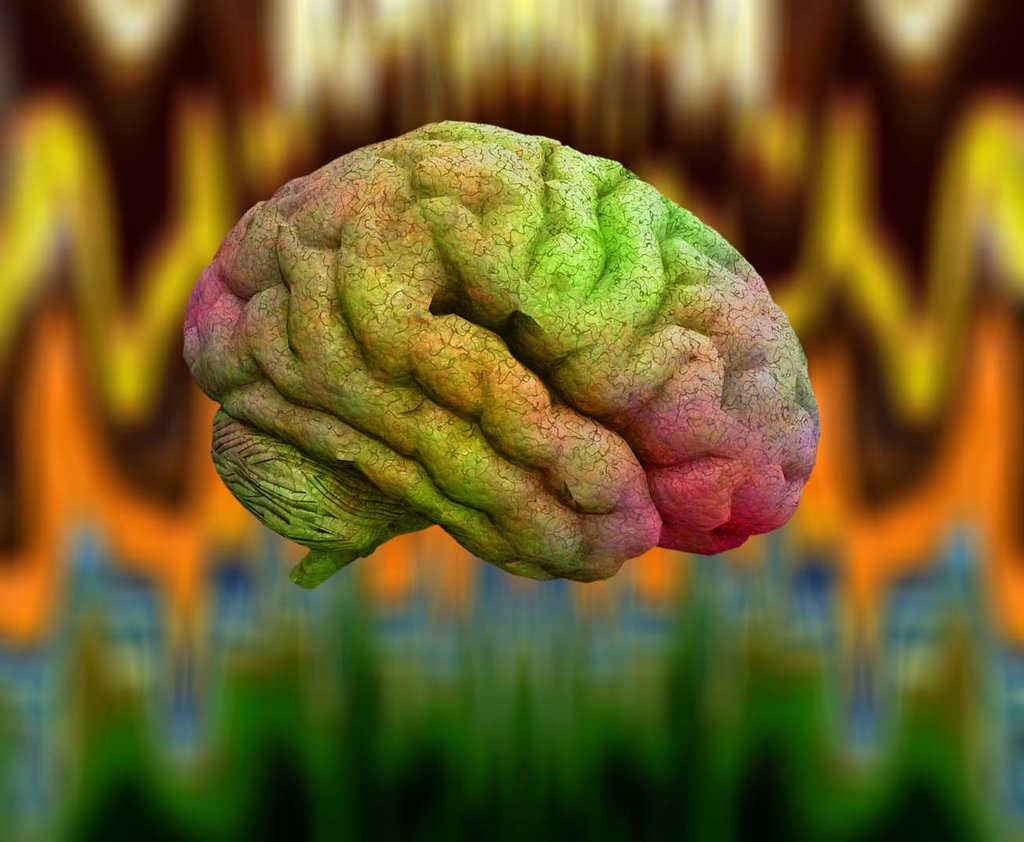 Betapa Misteriusnya Otak dan Ingatan Manusia