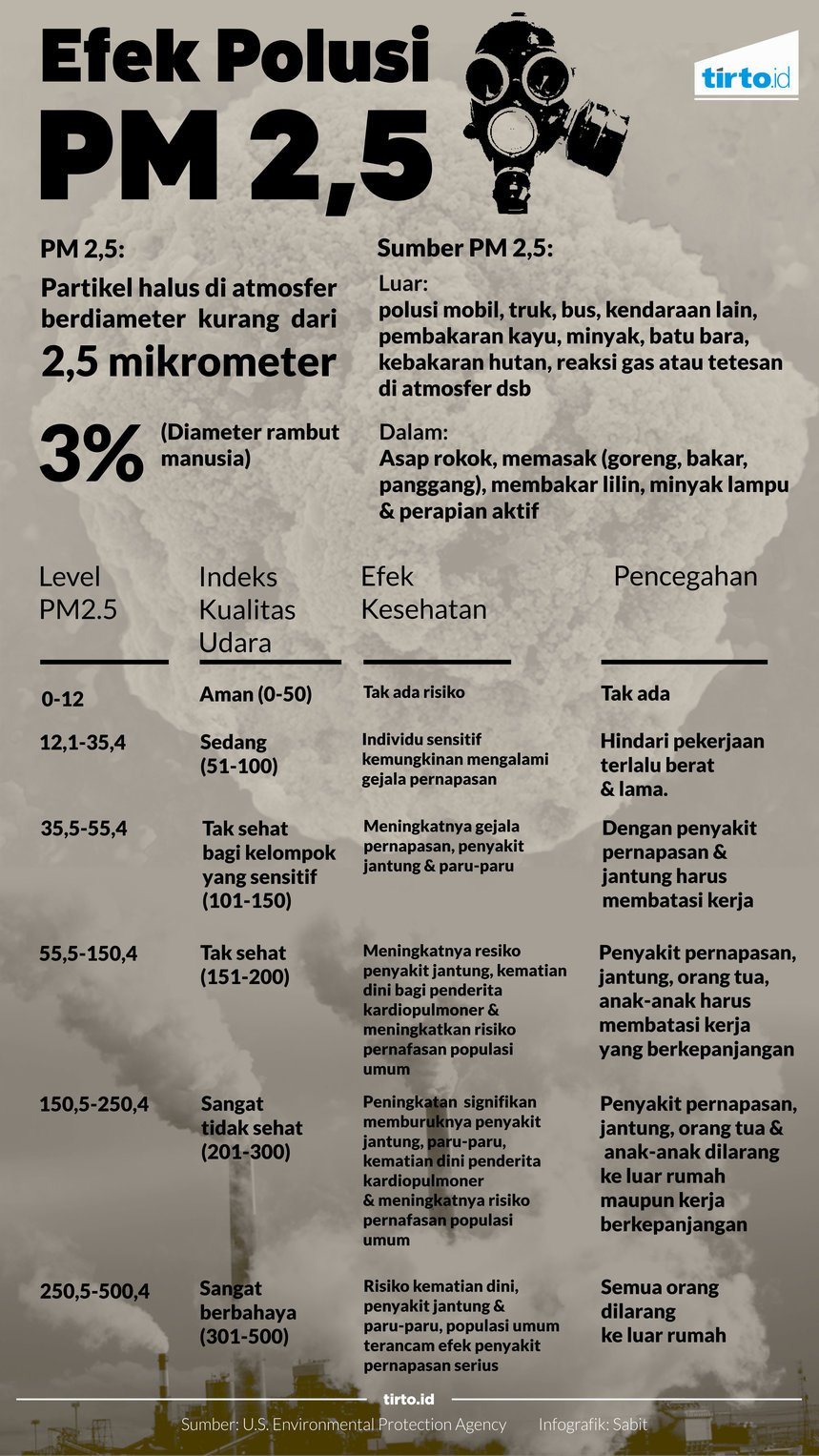 Infografik Efek Polusi PM 2,5