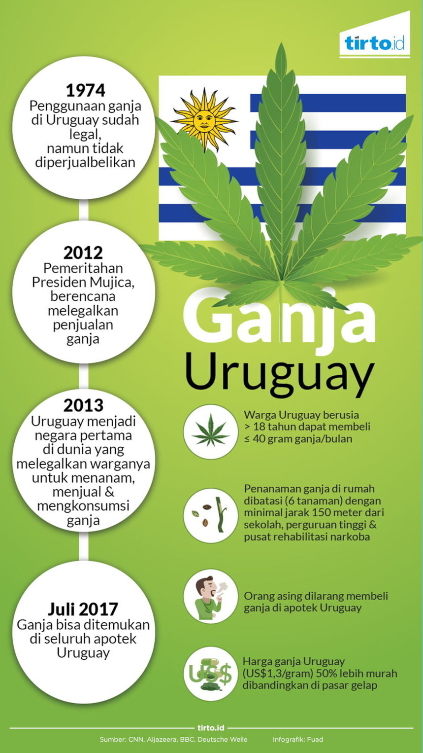 Infografik Ganja Uruguay