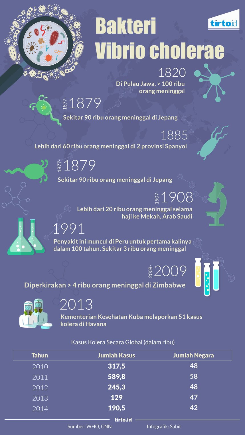 Infografik Kolera