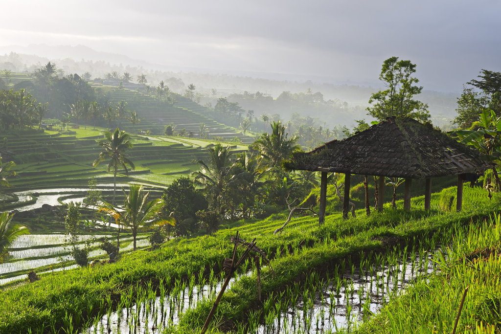 Pemerintah Anugerahi 10 Desa Wisata Terbaik di Indonesia 