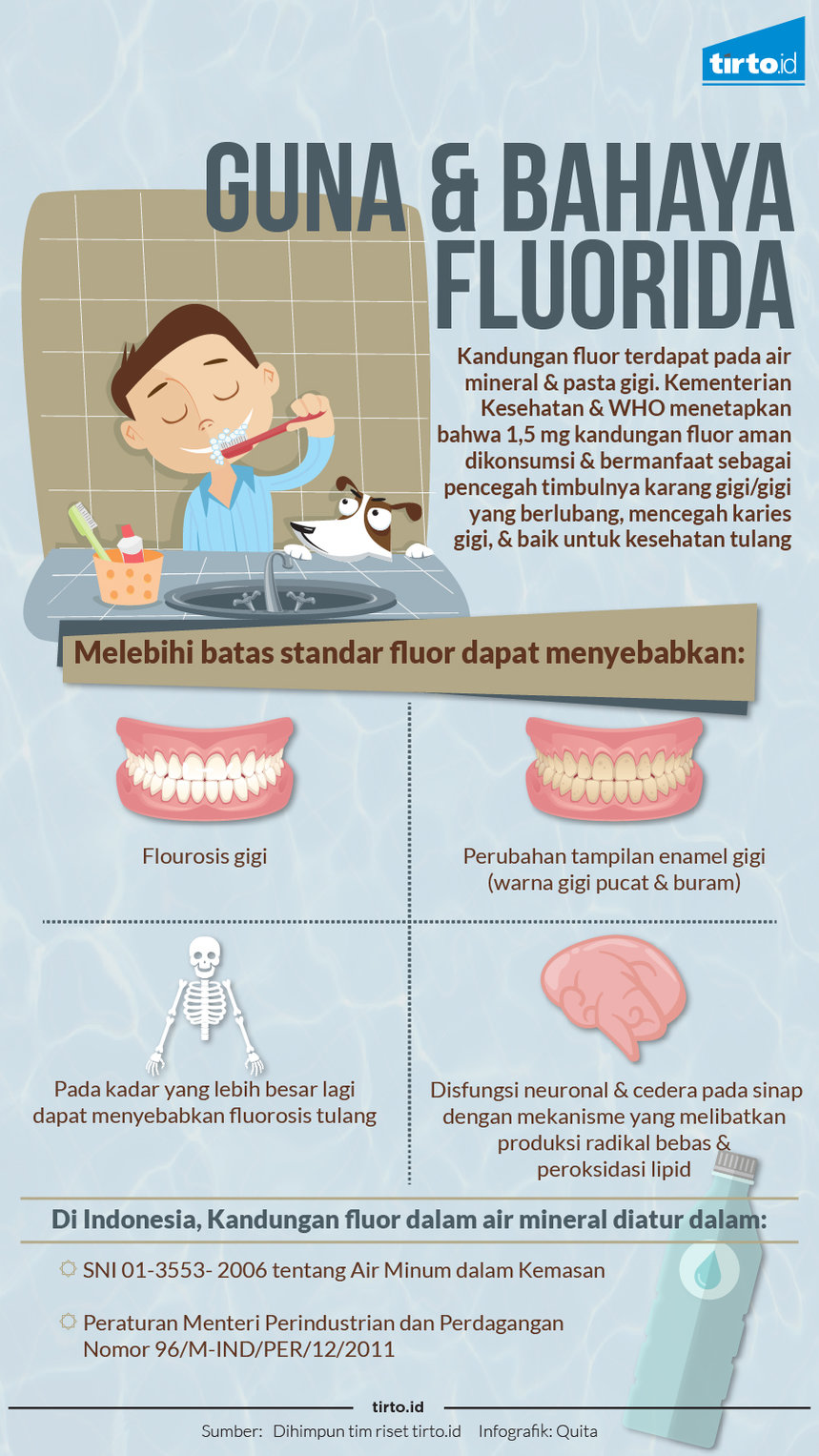 Infografik Guna dan Bahaya Fluorida