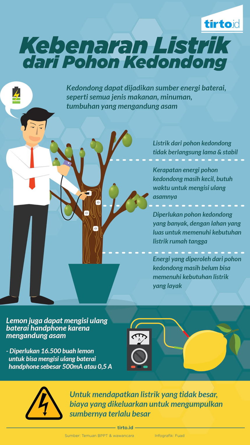 Infografik Kebenaran Listrik Dari Pohon Kedondong