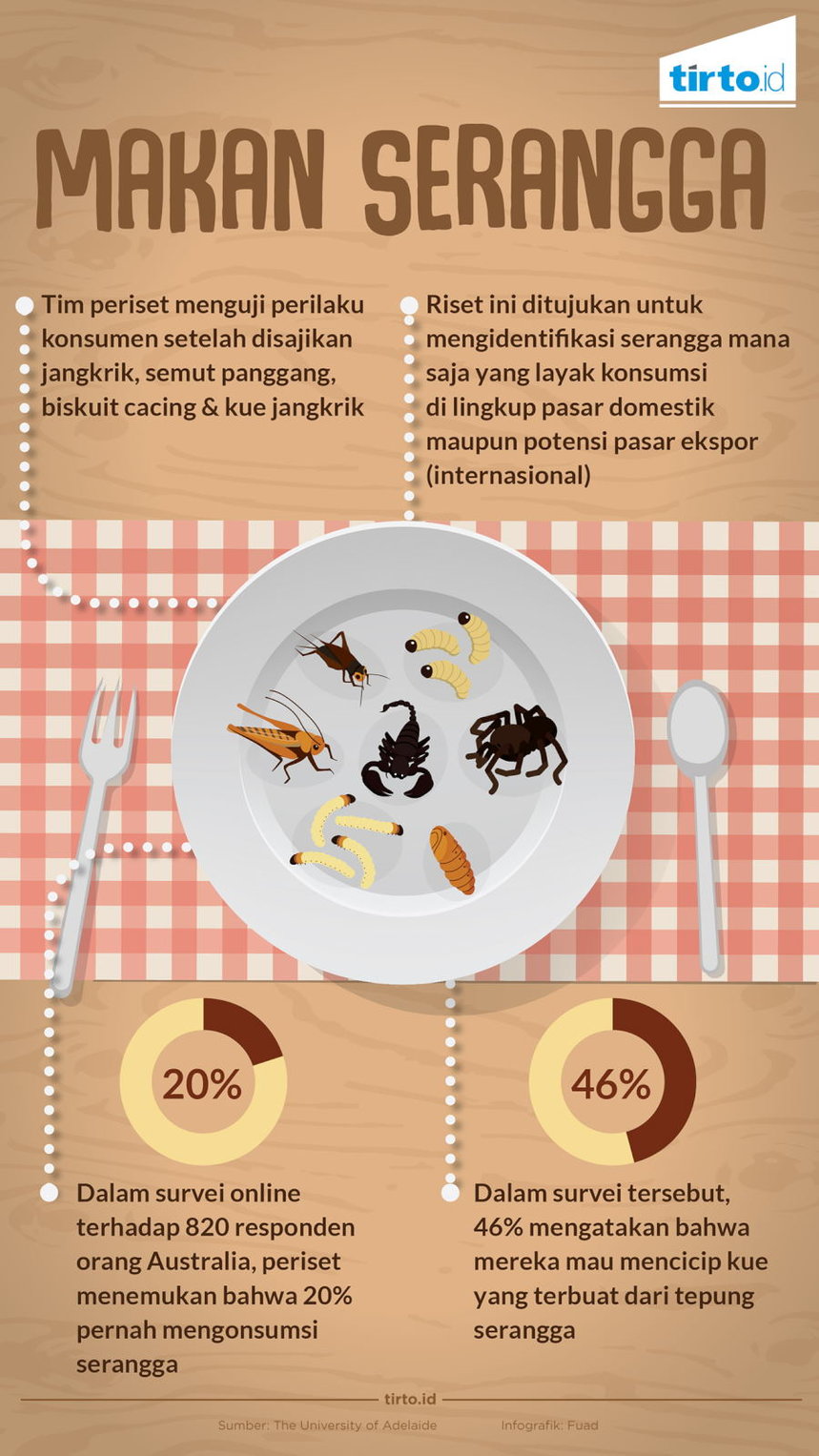Infografik Makan Serangga