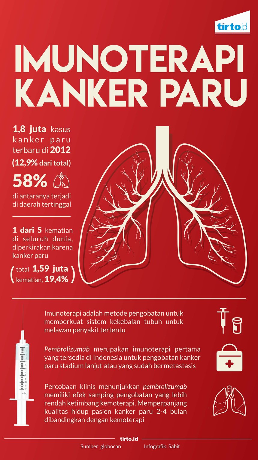 Infografik Imunoterapi Kanker Paru