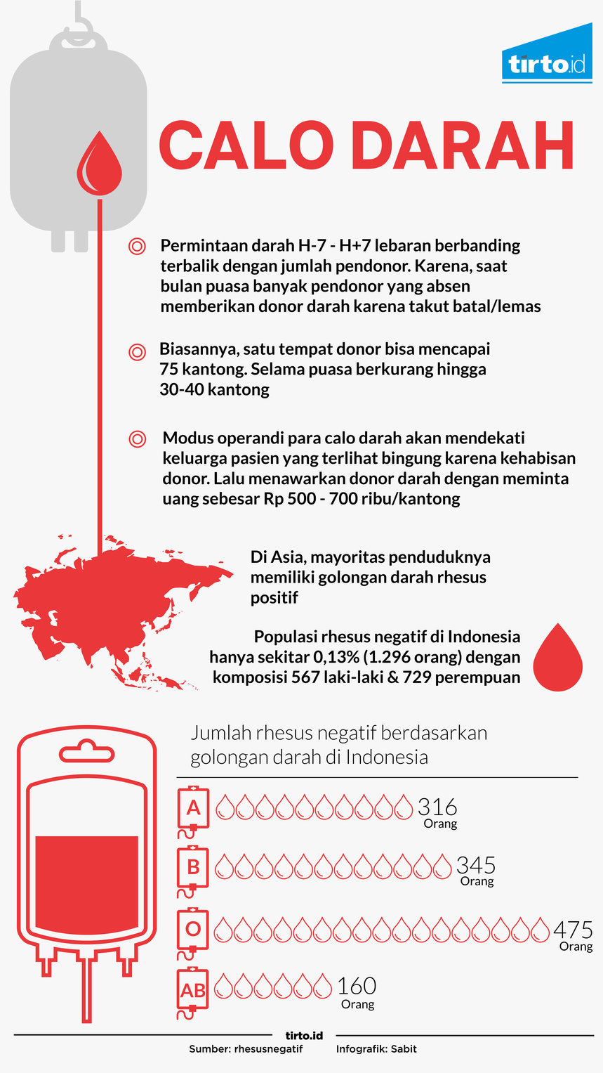 Infografik Calo Darah