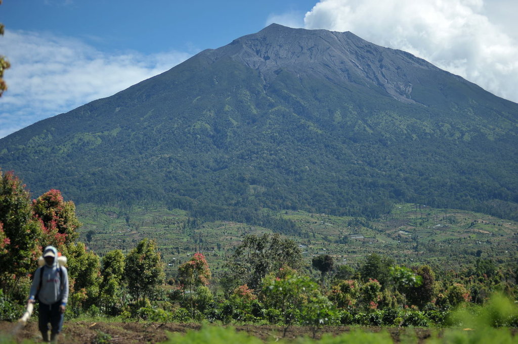 KERUSAKAN HUTAN GUNUNG KERINCI