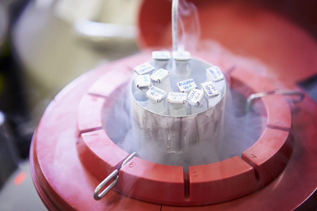 Maktab hojatxonasidan porno Lazytown porno montajidan Stefani