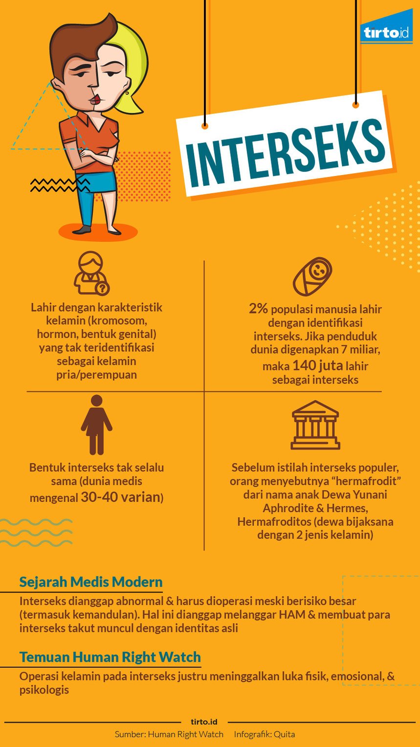 infografik interseks