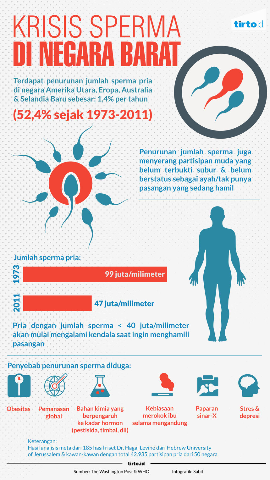 Infografik Krisis Sperma di negara barat