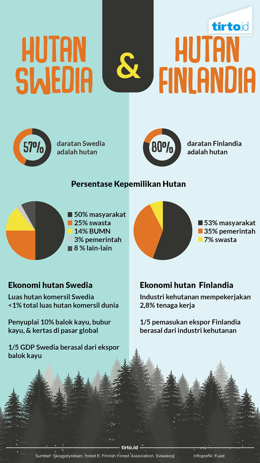 Infografik Hutan swedia dan finlandia