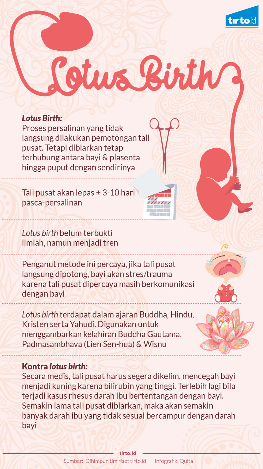 Infografik Lotus Birth