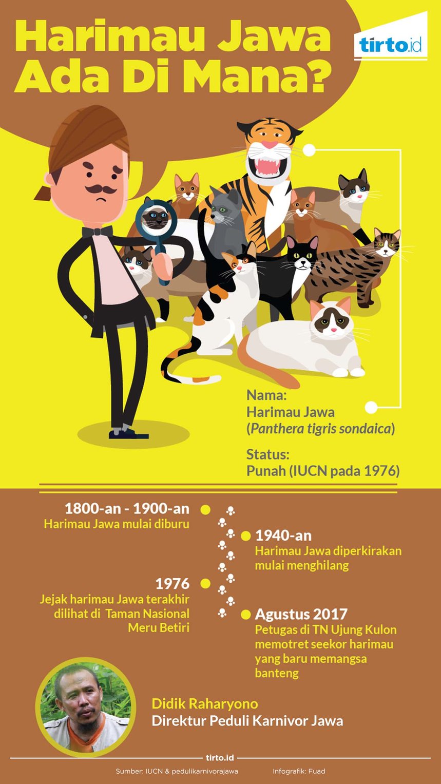 Infografik Harimau Jawa
