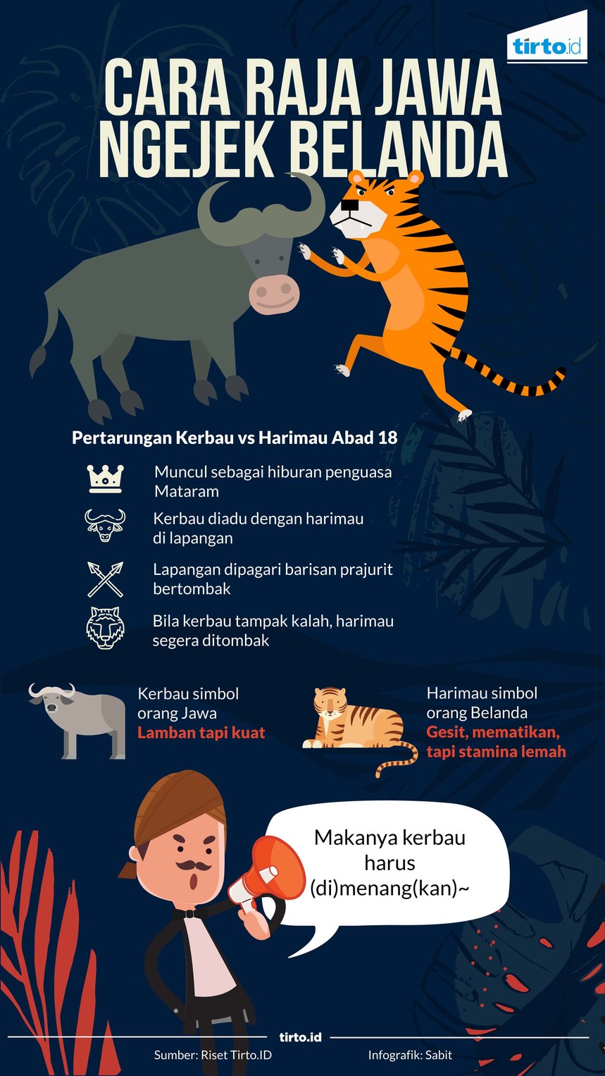 Infografik Kerbau Lawan Macan