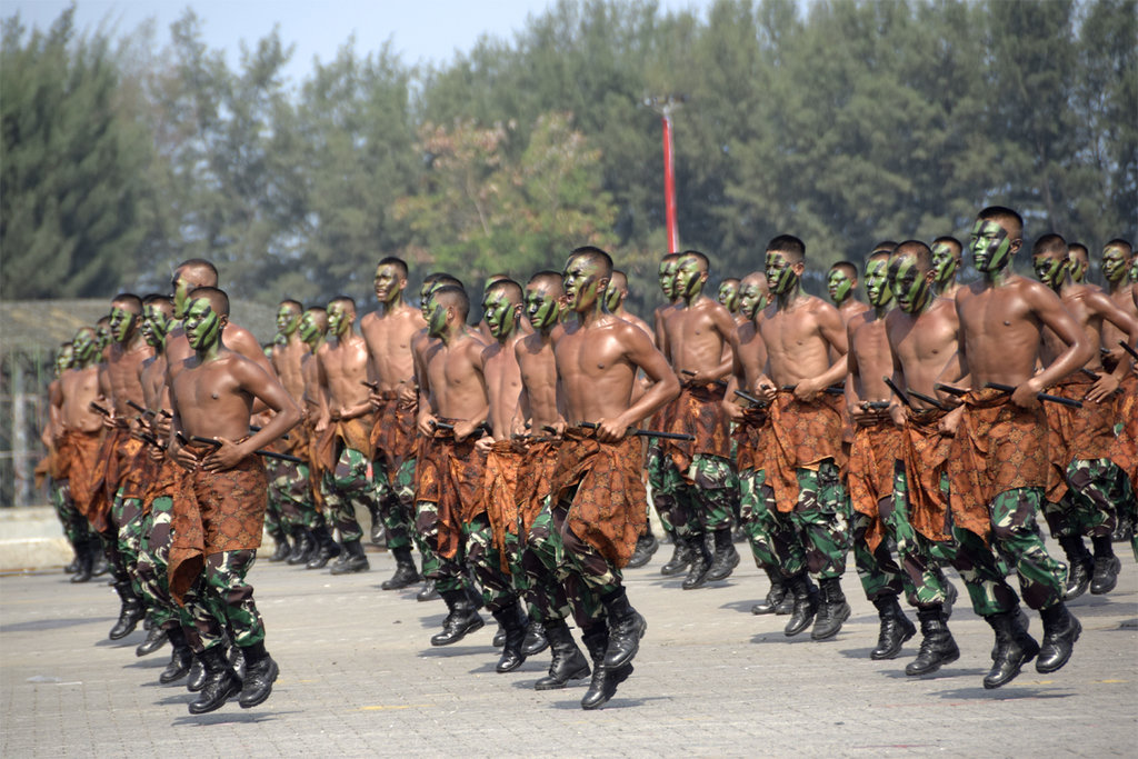 Membaca Peluang Pencabutan Larangan Kerja Sama Kopassus Oleh As